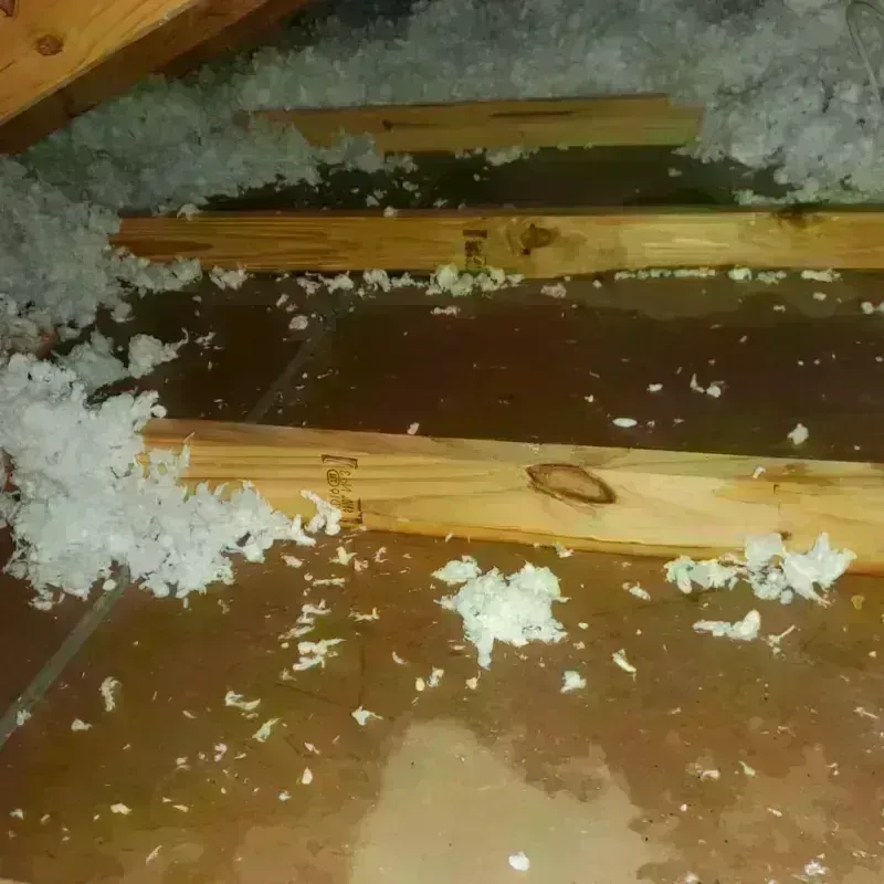 Attic Water Damage in North Richmond, CA