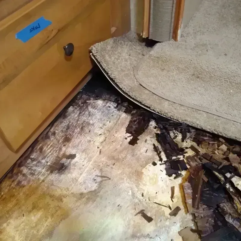 Best Wood Floor Water Damage Service in North Richmond, CA